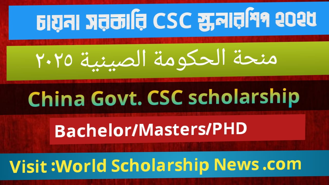 Chinese Government Scholarship